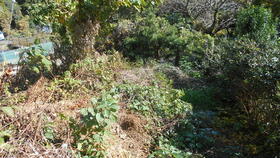 静岡県伊東市吉田