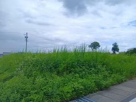 岐阜県土岐市妻木町