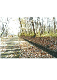 栃木県那須郡那須町大字高久丙