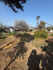 大分県中津市大字大悟法