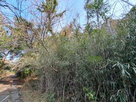 千葉県南房総市荒川