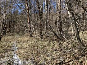 山梨県北杜市大泉町西井出
