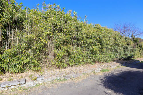 Land, Hokota, Ibaraki