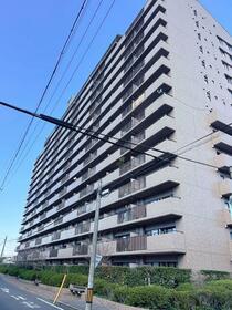 鳥見パークマンション三番街南棟　ＴＫ