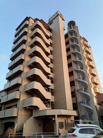 アンピール藤原