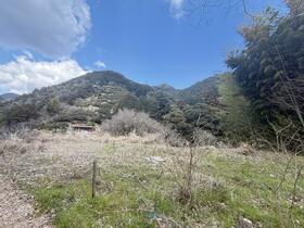 静岡県静岡市駿河区宇津ノ谷