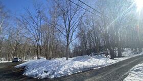 北海道虻田郡倶知安町字樺山