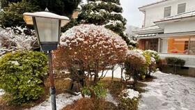 神奈川県足柄下郡箱根町宮城野