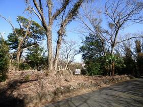 静岡県伊東市八幡野