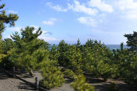 神奈川県中郡大磯町西小磯