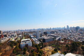 スカイフォレストレジデンス