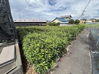 土地, 静岡県 牧之原市