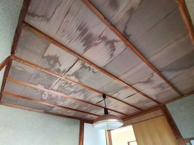 代表画像_外観@221015037242