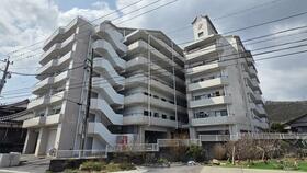 サンローレル畑