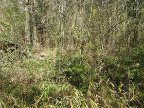 岡山県加賀郡吉備中央町北