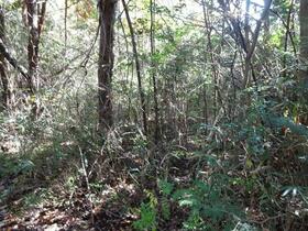 岡山県久米郡美咲町小原