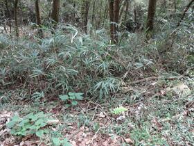 岡山県久米郡美咲町休石