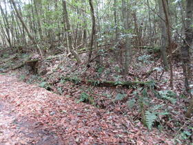 岡山県津山市新野東