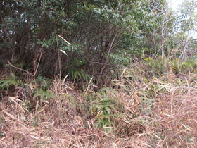 三重県志摩市阿児町国府