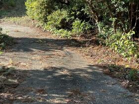 三重県志摩市浜島町塩屋