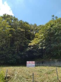 愛知県岡崎市山綱町字上中野