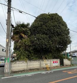 東京都東村山市野口町３丁目