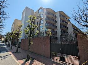 ザ・ライオンズ杉並善福寺川緑地