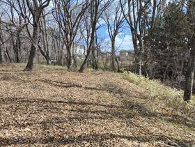 山梨県北杜市大泉町西井出