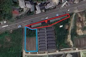 徳島県板野郡板野町羅漢字松木