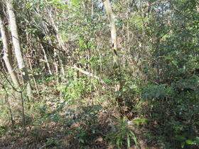 三重県志摩市阿児町国府