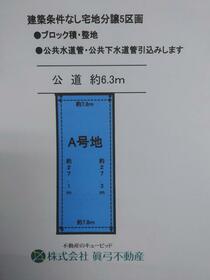 愛知県津島市越津町字中之郷