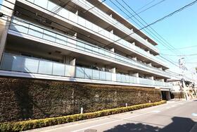 アデニウム篠崎