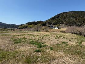 千葉県南房総市犬掛