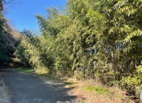 福岡県福津市津丸