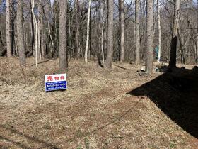 山梨県北杜市長坂町小荒間