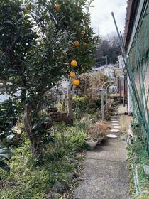 神奈川県中郡大磯町大磯