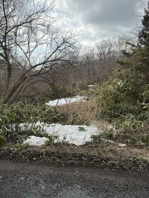 北海道亀田郡七飯町字仁山