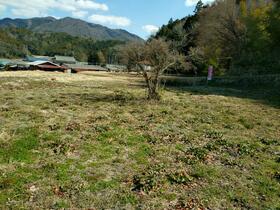 兵庫県丹波篠山市野々垣