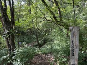 長野県北佐久郡軽井沢町大字長倉千ケ滝西区