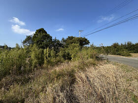 鹿児島県西之表市西之表