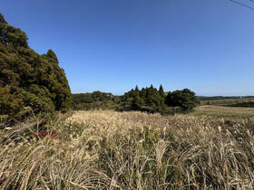 鹿児島県西之表市西之表