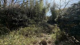 千葉県市原市能満