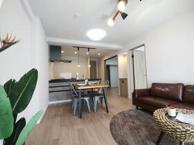 八戸ノ里ニュースカイハイツＲｅｎｏｖａｔｉｏｎＨｏｕｓｅ