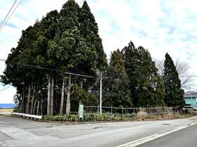 山形県鶴岡市羽黒町野荒町字北田