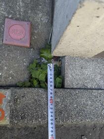 東京都江戸川区北小岩８丁目