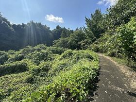 大分県由布市庄内町畑田