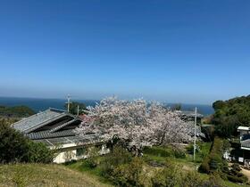 兵庫県洲本市五色町鳥飼浦