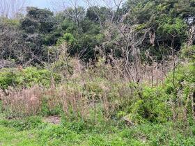 長崎県平戸市田平町小手田免