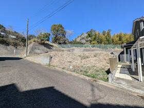 千葉県山武郡芝山町新井田