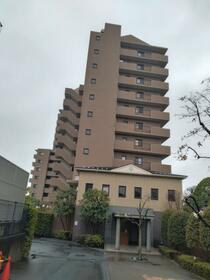 埼玉県川口市元郷２丁目